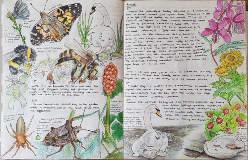 Alex Boon - Introduction to Nature Journaling